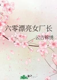 六零漂亮女厂长云吉锦绣免费阅读