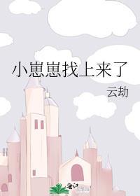 小崽崽找上来了全文免费阅读