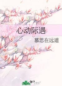 心动际遇晋江