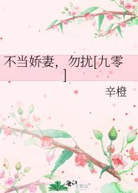 九零之不当娇妻勿扰