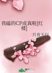 我磕的cp和我是真的(娱乐圈)