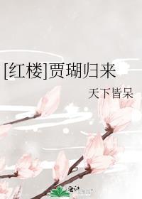 红楼之贾瑚
