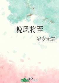 晚风将至橘子皮