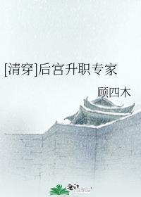 清穿后宫升职专家笔趣阁