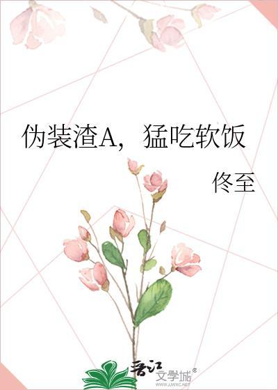 渣伪装学