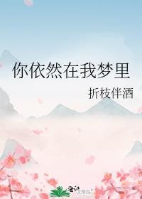 你依然在我梦里TXT笔趣阁