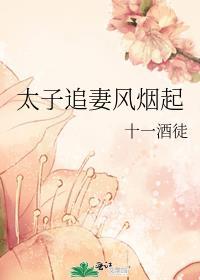太子追妻风烟起全文免费阅读
