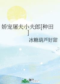 娇宠小夫郎女尊