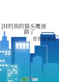 hp我的猫头鹰迷路了免费阅读笔趣阁