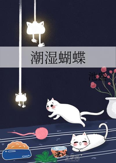 潮湿蝴蝶池昂