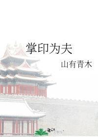 掌印为夫完整版百度