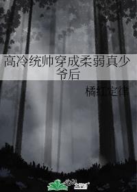 高冷统帅穿成柔弱真少爷后by