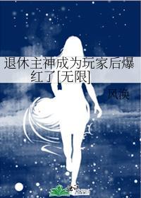 退休宗主
