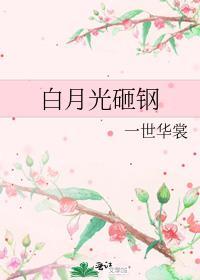 白月光砸钢by一世华裳免费阅读
