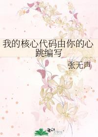 核心代码是什么意思