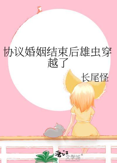协议结婚后txt