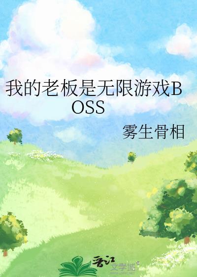 我的老板是les