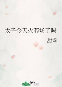 太子今天火葬场了吗txt