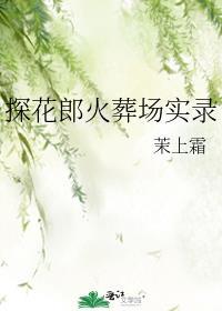 探花郎火葬场了吗by杳杳云瑟