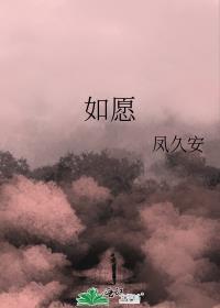 如愿以偿以后