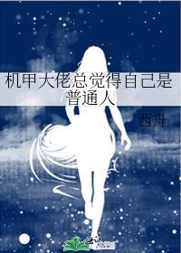 机甲大佬和机甲大嫂