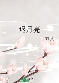 林间有客