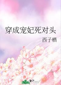 穿成宠妃之子123