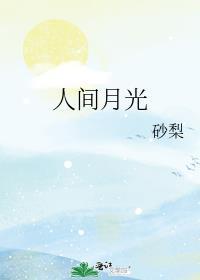 人间月是什么歌