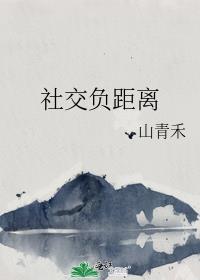 社交负距离txt