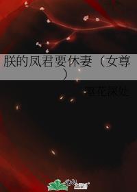 朕的凤君要休妻女尊