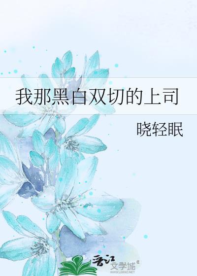 我那黑白双切的上司晋江