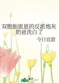 双胞胎小孩txt