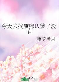今天去找康熙认爹了没有 最新章节