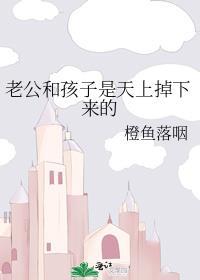 天上掉下来儿子