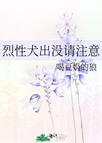 烈性犬出没请注意TXT全文阅读
