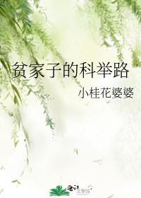 贫家子的科举路txt百度