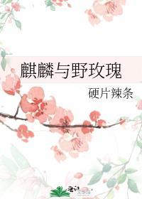 麒麟花麒麟
