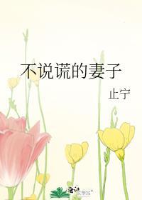 不说谎的妻子讲的什么故事