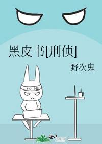 黑皮书原型