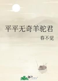 平平无奇的羊驼君