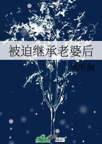 被迫继承老婆后百文