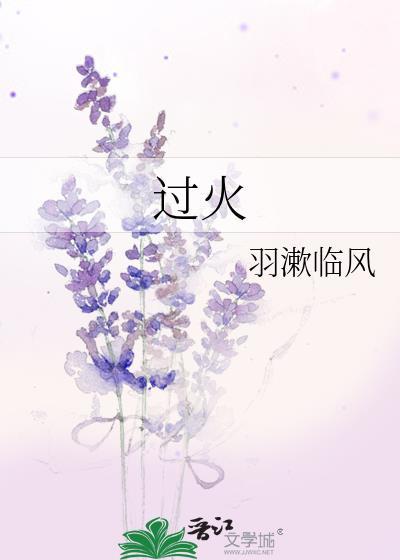 过火面积是什么意思