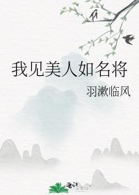 我见美人如名将羽漱临风