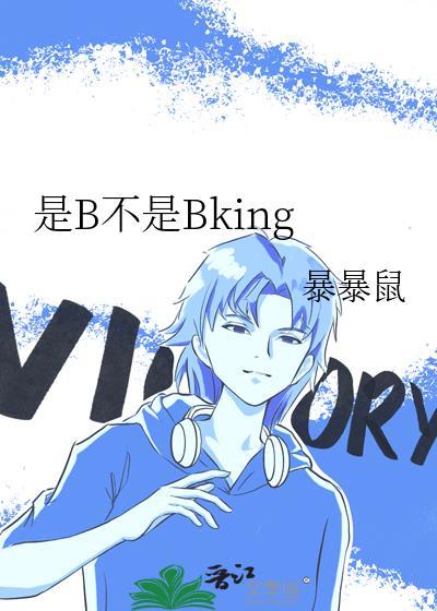 是b不是bking 暴暴鼠谁是受