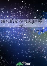 蝙总的家养韦恩综英美格格党