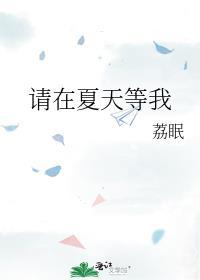 请在夏天等我回来英文