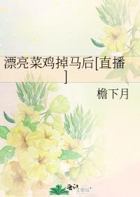 漂亮菜鸡掉马后百度