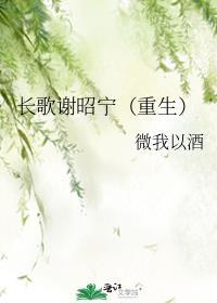 谢长歌宋辙全集