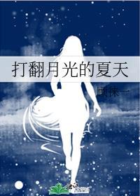 打翻月光的夏天百度资源