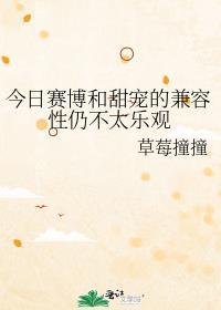 赛博到底是什么意思